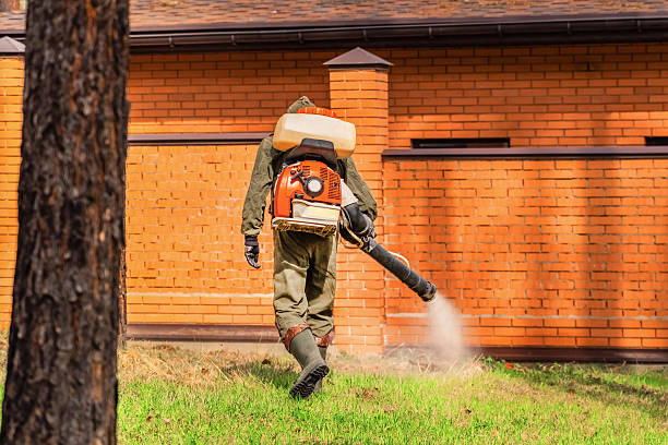 Trusted Ant Control service in Ravensworth, VA - Nex Pest Control